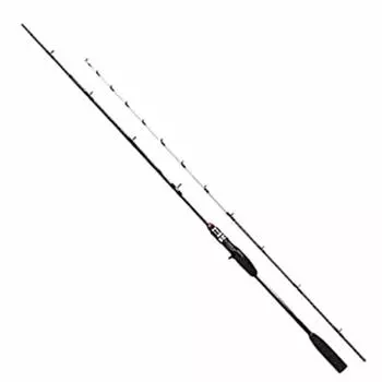 SHIMANO rod boat rod 19 light game BB TYPE73 MH225 Entry model for fishing on hand