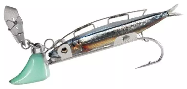 SHIMANO Tenya Cutlass Getter Time Saving Tenya Biribiri 01T Natural Glow Size 5 OO-305K (No.)