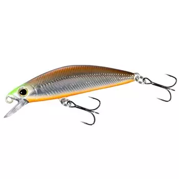 SHIMANO Trout Lure Minnow Cardiff Foretta 50S 025 Miyasui Tennessee TN-350N