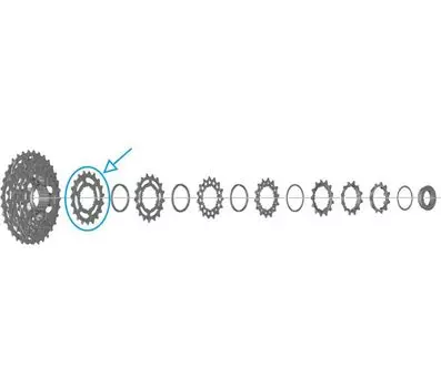 SHIMANO Звездочка 19T N CS-R7100