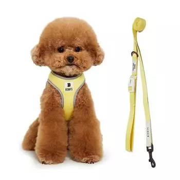 Шлейка для собак Benny s Basic + поводок 1,5 м, желтая