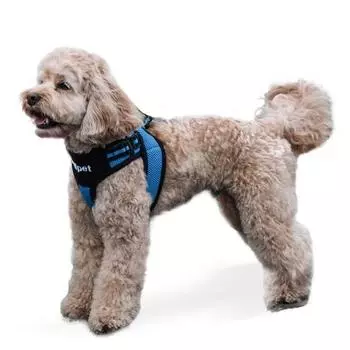 Шлейка для спортивного жилета Real Pet, СИНЯЯ