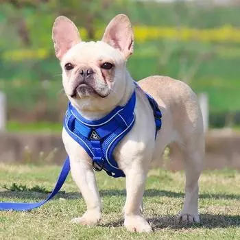 Шлейка Tookka Comfortable Dog Pet Happy Dog Tookka, синяя, 1 шт.