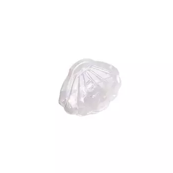 Simple Acetate Shell Shape Hair Clips Fan Shape Mini Mini Hairpin Cartoon Ocean Animal Small Hairgrips Daily