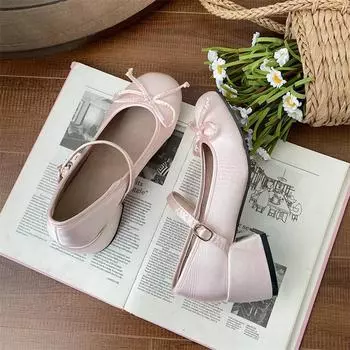 Simple retro French thick heel Mary Jane shoes women s autumn and winter 2025 new shallow mouth versatile single shoes 35 шампанского