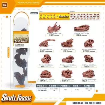 Simulation Mini Prehistoric Animal Dinosaur Skull Model Storage Box Set Children S Toy Decorative Ornament