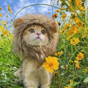 Смешная одежда для домашних животных, шапка, милый парик для кошки, костюм гривы льва, шапка для косплея котенка, собаки с ушками, модные принадлежности для вечеринок S