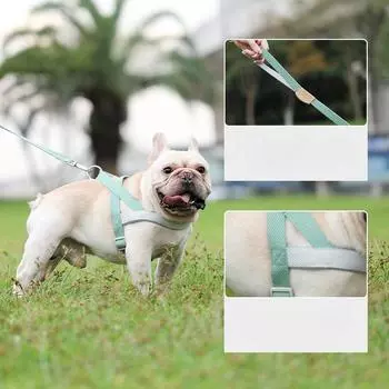 Soft Dog Harness with Rope Nylon Pitbull Dog Puppy Harnesses Padded Pet Vest Adjustable for Small Medium Large Dog Chihuahua Pug XS