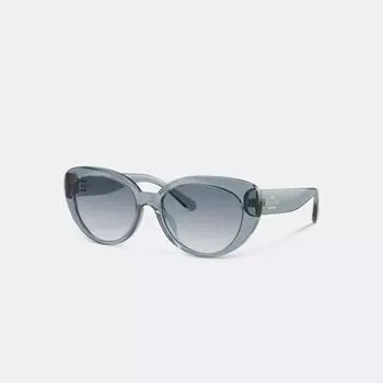 Солнцезащитные очки Coach Cateye прозрачные синие