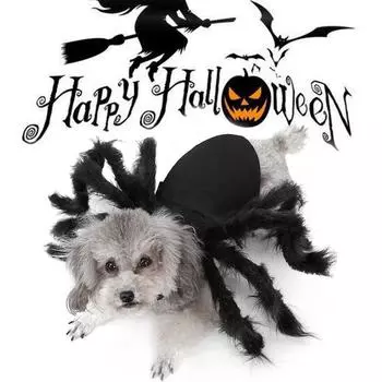 Spider Clothes for Puppies Cats Halloween Pet Cat Dog Costumes Cute Dress Free