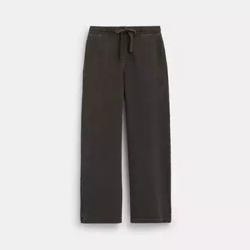 Спортивные брюки Coach Garment Dye дымчатые XLarge