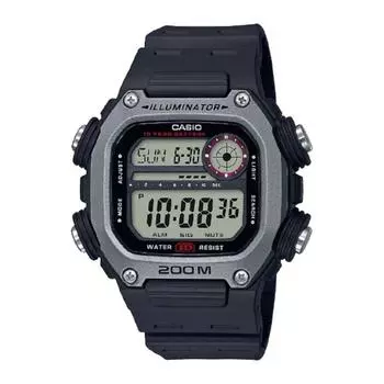 Стандартные часы Casio Коллекция Casio Dw 291h 1ajf