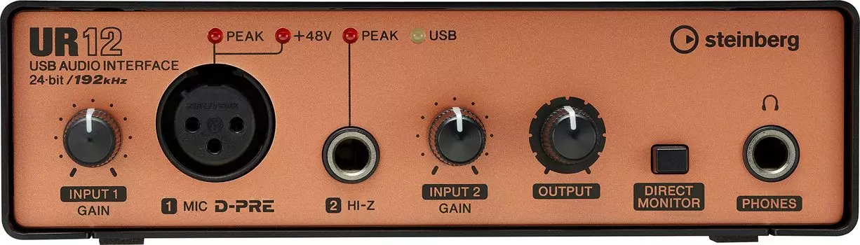 Steinberg Steinberg USB аудиоинтерфейс UR12 черная медная модель UR12B и