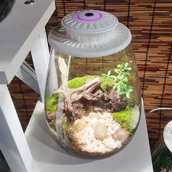 Стеклянный террариум для суккулентов с подсветкой для растений, настольный стеклянный террариум для растений для дома, сада, офиса, настольное украшение