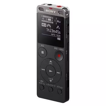 Стереодиктофон Sony IC с FM-тюнером 4 ГБ, черный ICD-UX560F/B