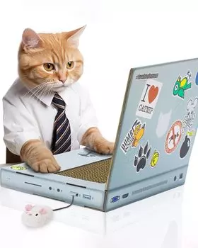 suck UK PC Scratchpad