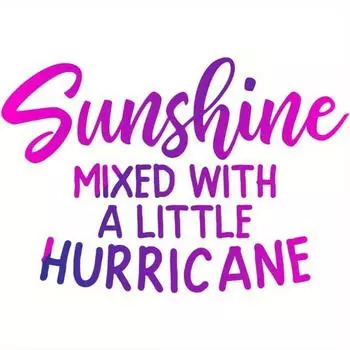 Sunshine Mixed With A Little Hurricane PVC Decal Sticker - Car Truck Van SUV Window Wall Cup Laptop 1pc