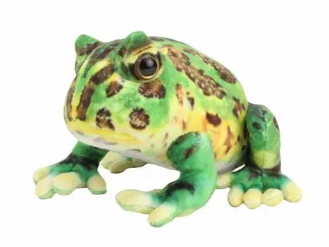 Taiyo Sangyo Boeki Plush Toy Wild Graphy Frog Belthorn Frog (L) SA034