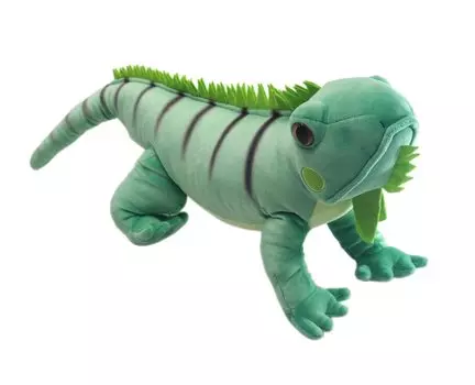 Take Off Green Iguana M