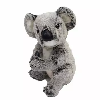 Take Off Koala M