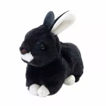 Take Off Rabbit Maron Rex Black