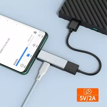 Тип C на USB-гнездо + Тип C-гнездо (Доставка энергии) Адаптер USB Мышь, клавиатура, кард-ридер и многое другое серебряный