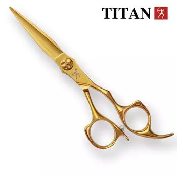 TITAN Парикмахерские ножницы Профессиональные ножницы для волос Золотые парикмахерские ножницы для парикмахерских салонов 6.0inch золотой