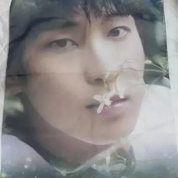 Ткань Seventeen Wonwoo