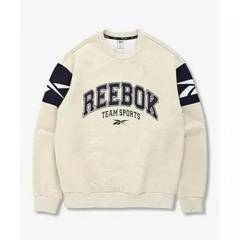 Толстовка REEBOK Twin Vector Бежевая