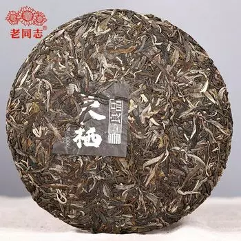 Top Raw Puer Чайный торт Хайвань Сбор духа растений Чай Шен Пуэр 400г 400g