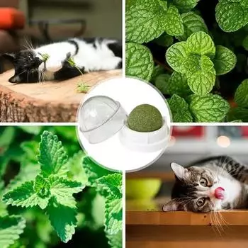 Товары. Кошачья игрушка Котенок лижет конфеты способствуют пищеварению Аксессуары для кошек Мятные шарики Принадлежности для закусок Игрушки для домашних животных Главная XS белый