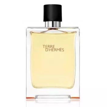 Туалетная вода-спрей Terre D Hermes 50 мл