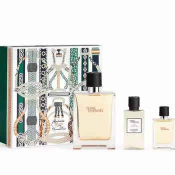 Туалетная вода Terre D Hermes спрей 100 мл, набор из 3 предметов