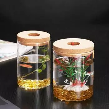 Утолщенные прозрачные стеклянные горшки Прозрачная экологическая стеклянная ваза для дома