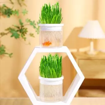 Вентилируемое отверстие для фильтра тонкой очистки, усиленное разделяемое универсальное прозрачное окно для гидропоники, беспочвенная посадка кошек белый