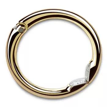 Вешалка для сумок Shiny M Clipa2-Instant Collection, золото,