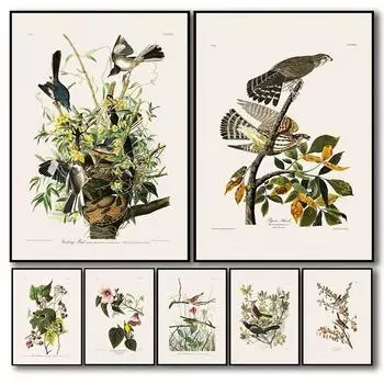 Винтажные птицы старый Audubon иллюстрация цветочные растения плакат холст живопись баклан птица настенные панно реализм искусство домашний декор 21cm30cm NoFrame