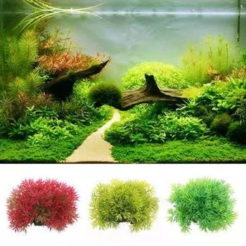 Водяная трава для украшения аквариума красный