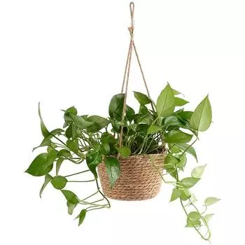 Wall Hung Flower Pots, Straw, Rattan, Green Radish And Chrysanthemum Flower Pots, Straw Woven Decorative Baskets