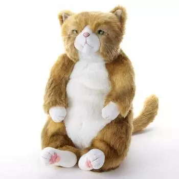 Wasami Cuddly New Collection Extra Large Plush Toy (Cat)