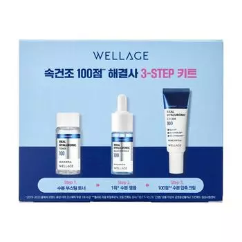 Wellage Quick Dry 100 Point Fixer 3 Step Kit 12 мл тонера + 10 ампул + 10 мл крема 3 миниатюры