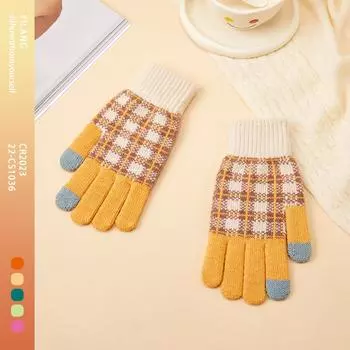 Winter Touch Screen Gloves for Women In Autumn and Winter Warm Plus Velvet Knitted Yarn Cute Riding Thickened Couple Students