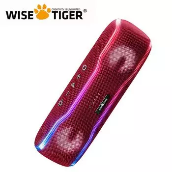 WISE TIGER Bluetooth-динамик, водонепроницаемый беспроводной динамик IPX7 с цветными мигающими огнями, 25 Вт, супербас, 24 часа воспроизведения серый