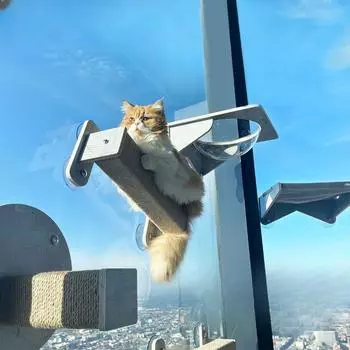 Woodiness Cat Climbing Frame Scratching Platform Sky Wall Suction Glass Capsule Punch Free Clear Cat Nest Hammock Pet Supplies