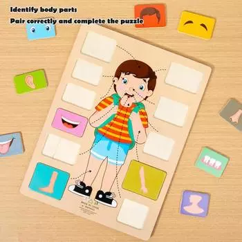 Yousheng Body Parts Puzzle Matching Game Обучающая головоломка по структуре человеческого тела Анатомия Доска для детей Малыши Деревянная обучающая игрушка STEM Boy C