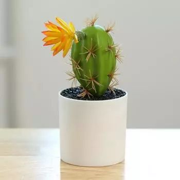 Yousheng Mini Bonsai Non-Fading Landscape Пластиковые имитационные суккулентные растения Украшение стола 11