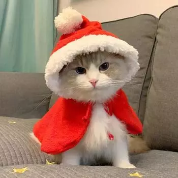 Забавный рождественский костюм кошки, косплей Санты, рождественская накидка для питомца, одежда, теплый красный шарф, плащ со шляпой, аксессуары для питомцев S below 3kg