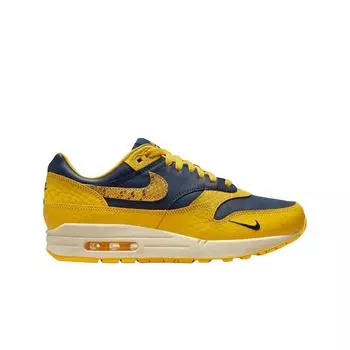 Женские кроссовки Nike Air Max 1 Premium Head to Head FJ5479-410