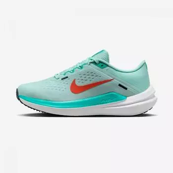 Женские кроссовки Nike Air Winflo 10 DV4023-300