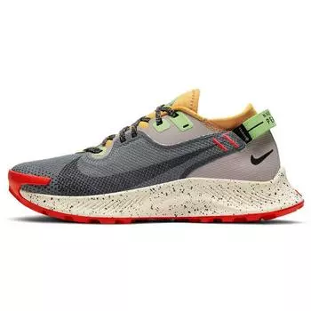 Женские кроссовки Nike Pegasus Trail 2 GTX Smoke Grey Bucktan College-серо-черные CU2018-002 35.5
